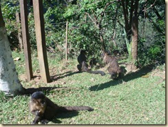 IMG_0423 IMG_0423
