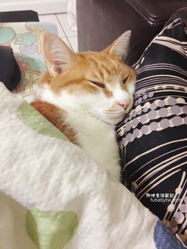 調整大小IMG_4581 調整大小IMG_4581