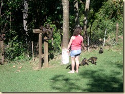 IMG_0427 IMG_0427