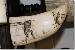 scrimshaw scrimshaw
