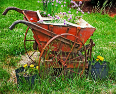 c0 picture of an old red wheelbarrow in overgrown grass, from http://fineartamerica.com/featured/old-wheelbarrow-susan-leggett.html