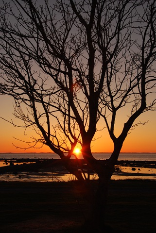 [DSC_4476%255B7%255D.jpg]