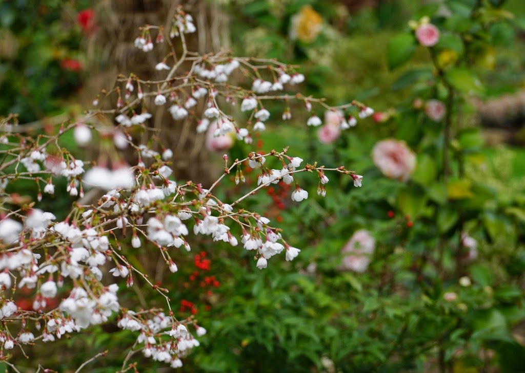 [DSC04646%255B3%255D.jpg]