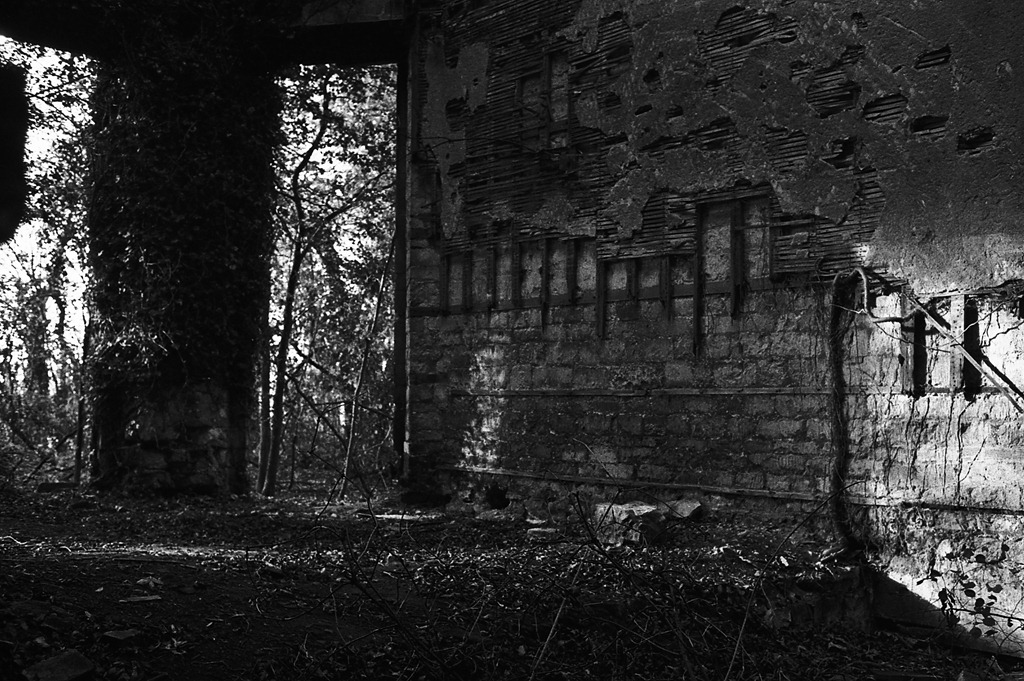 [Nettleham%2520Hall%252013%2520-%2520Film%255B4%255D.jpg]