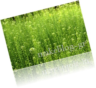 gogreen