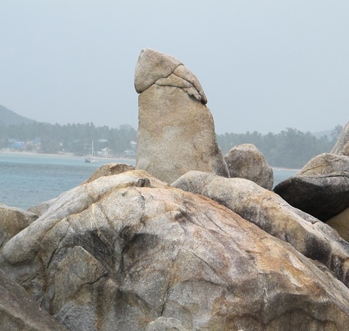 [IMG_54774.jpg]