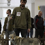 KV CSV 20130222_0964.jpg