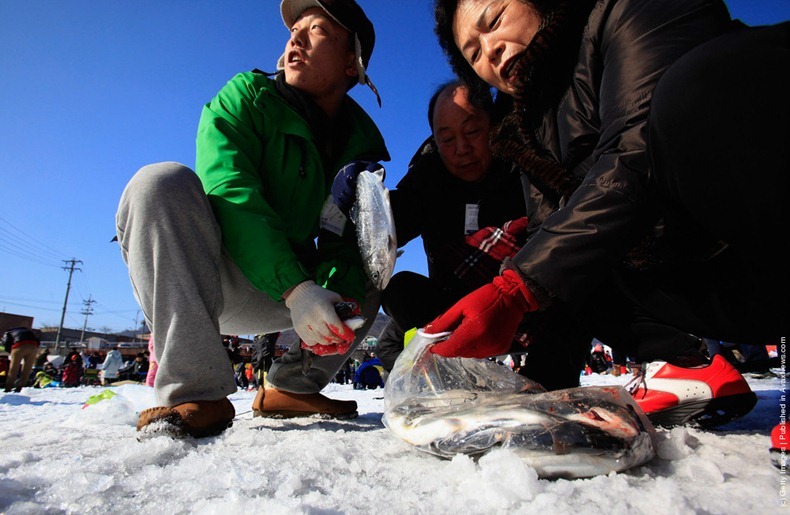 hwacheon-ice-festival-11 hwacheon-ice-festival-11