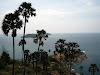  Phuket Adası Resimleri Fotoğrafları