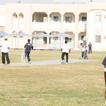 cricket9_ 2010_QTS.JPG