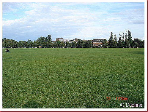 DSC07096 DSC07096
