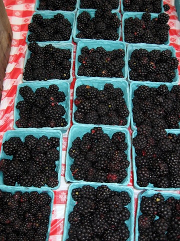 [blackberries%255B4%255D.jpg]