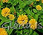 Glória Ishizaka -   Kyoto Botanical Garden 2012 - 149