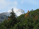 IMG_1611.jpg