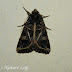 Dscn3696