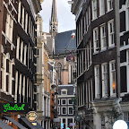 DSC_0646.jpg