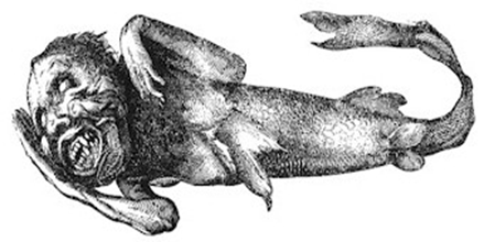 Sirena japonesa Sirena japonesa