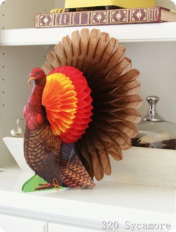 turkey fold out