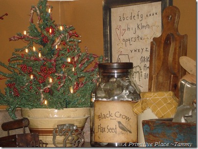 A Primitive Place ~Tammy