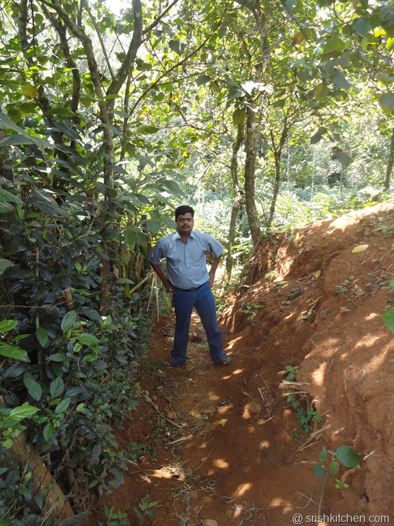 [munnar%2520tour%2520270%255B6%255D.jpg]
