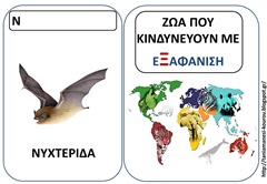 ΖΩ13 ΖΩ13