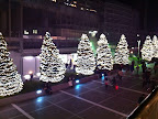 25 クリスマスディナー