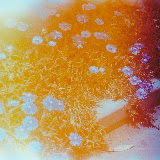 ScrapbookPhotos