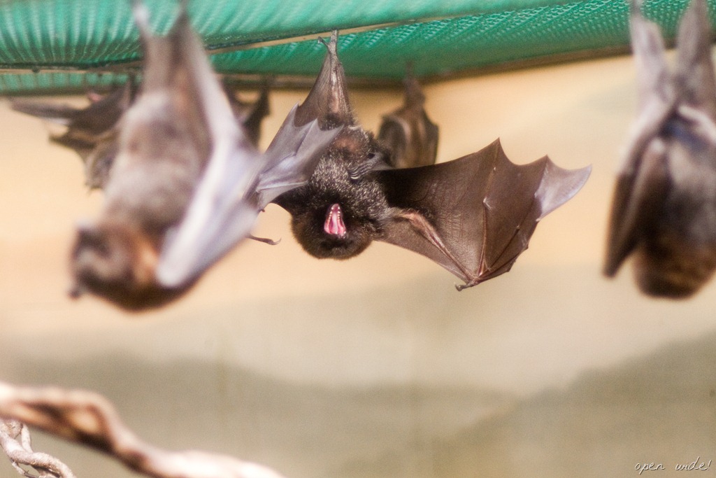 [20120716-IMG_6859-2%255B9%255D.jpg]