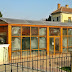 Piscina Hotel Maxim Oradea Piscina HotelMaxim Oradea%252520%25252805%252529 Piscina Hotel Maxim Oradea