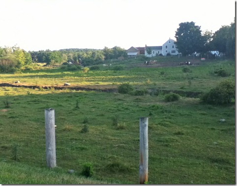 Rhoda-Springs-Farm Rhoda-Springs-Farm