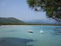 IMG_4317.JPG Photo