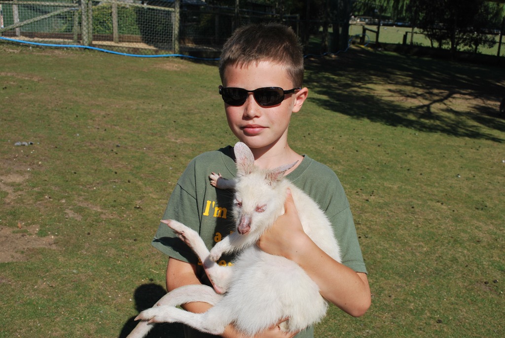 [DSC_0152%255B5%255D.jpg]