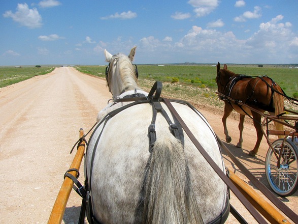 [IMG_4477%255B6%255D.jpg]