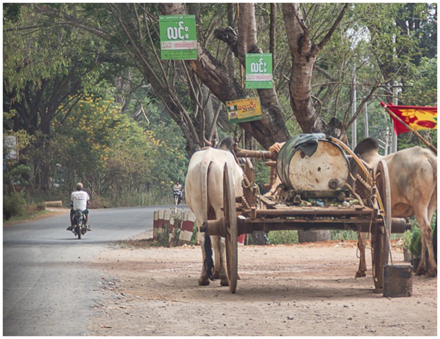 ox carts