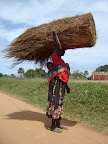 Women bringing grass for toucal roof