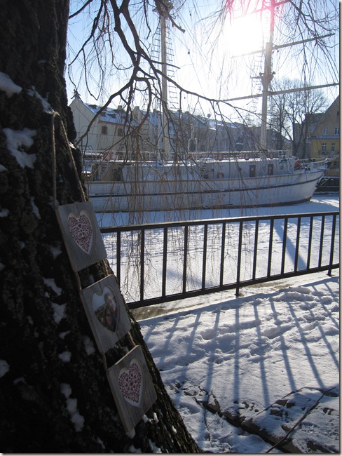 IMG_0584 IMG_0584