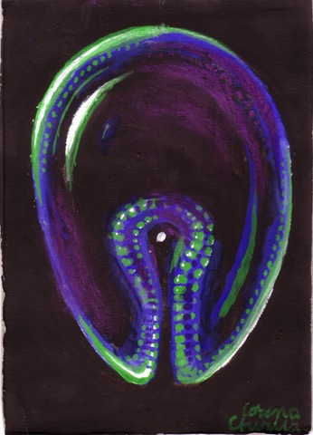 gastrula pictura embrion gastrula pictura embrion