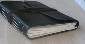 IMG_6582 IMG_6582