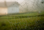 _1060080.jpg