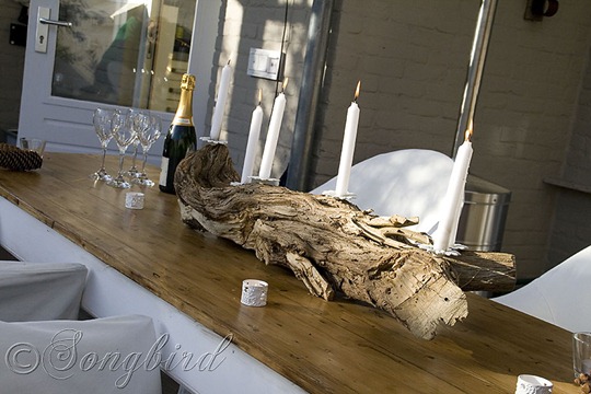 Tree Trunk Candle Stick 6