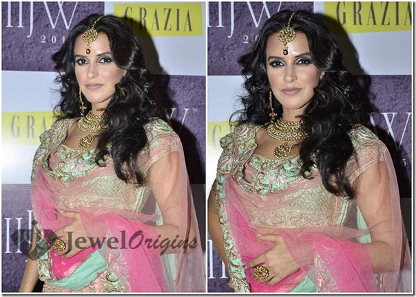 IIJW_2013 (5)