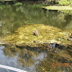 DSCN2977.JPG