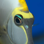 DSC_2175.jpg