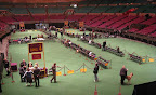 Early morning on the floor before the action