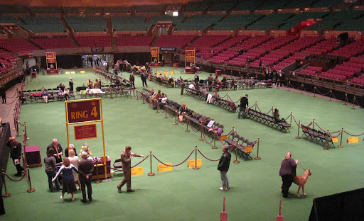 Early morning on the floor before the action
