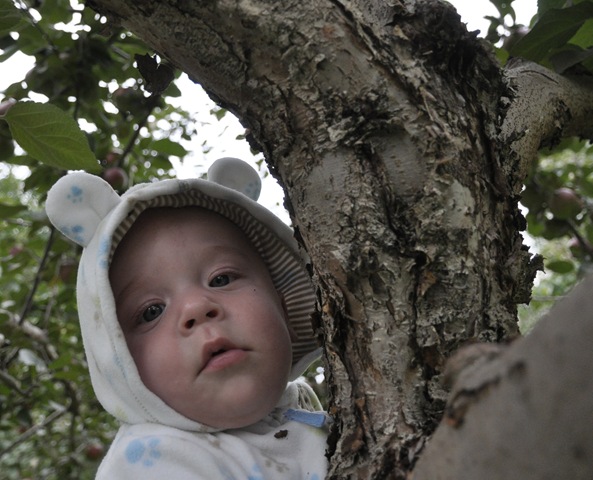[DSC_4243%255B5%255D.jpg]