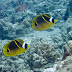 Crw_8297-2