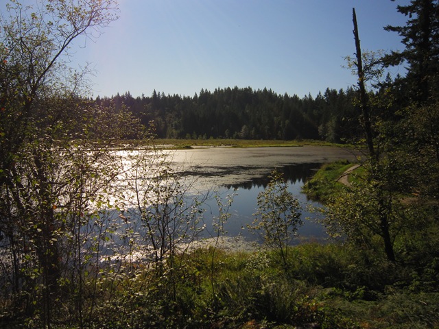 [IMG_5478%255B3%255D.jpg]