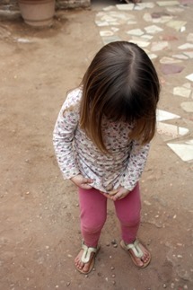 IMG_0347 IMG_0347