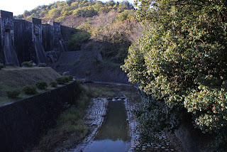 下流の橋より下流の川を望む